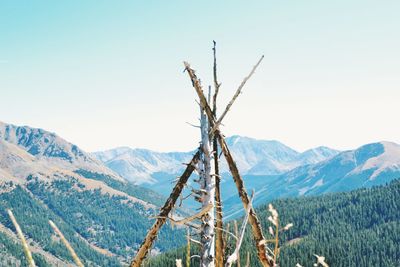 Scenic view of mountains