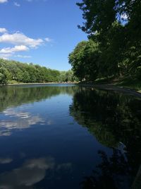 Scenic view of lake in forest against sky