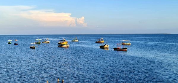 Sailboats in sea against sky