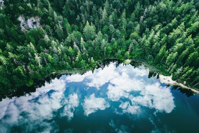 Aerial view of cloud reflections on water, lake eibensee near salzburg, austria.