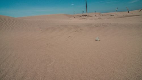 Scenic view of desert