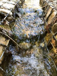 High angle view of dead plants in water