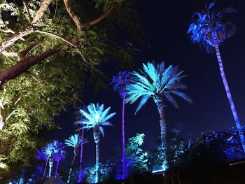 Low angle view of palm trees against blue sky
