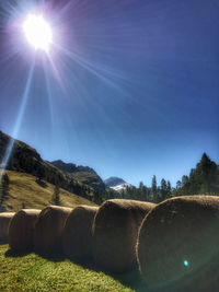 Scenic view of field against bright sun