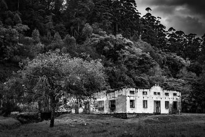 Trees by old building in forest against sky