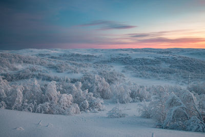 Scenic view of snow covered landscape against sky at sunset