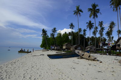 Palm trees on beach