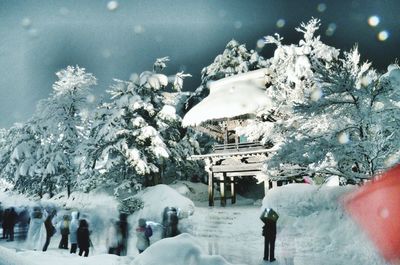 Snow covered trees on snow covered landscape