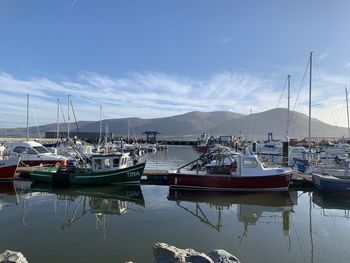 Boats moored in harbor
