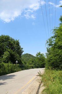 Road amidst trees against sky