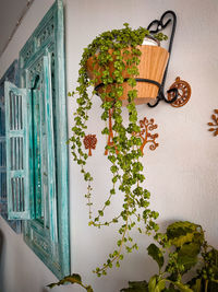 High angle view of potted plant on table