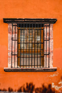 Close-up of window of building