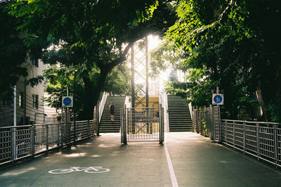 Rear view of woman walking on footpath in park