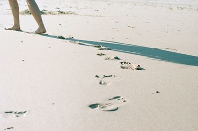 People on beach