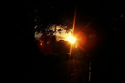 Sunlight streaming through silhouette tree during sunset