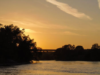 Silhouette trees by river against sky during sunset