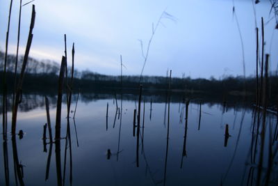 Scenic view of calm lake