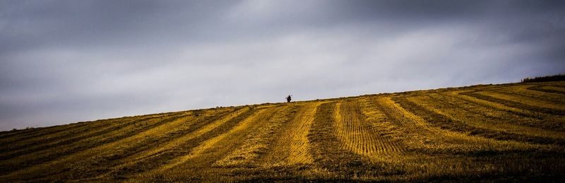 Scenic view of field against cloudy sky