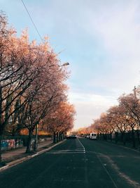 Road amidst trees against sky during autumn