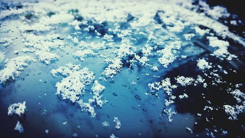 High angle view of water drops on white background