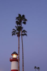 Low angle view of palm tree against clear sky