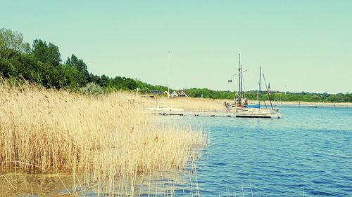 Sailboats in lake against clear sky