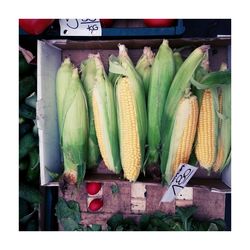 Close-up of vegetables