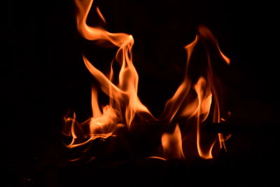 Close-up of bonfire at night
