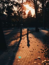 Silhouette of people on footpath in park