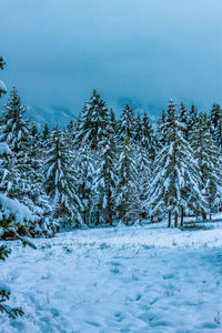 Snow-covered winter landscape in the alps, germany.