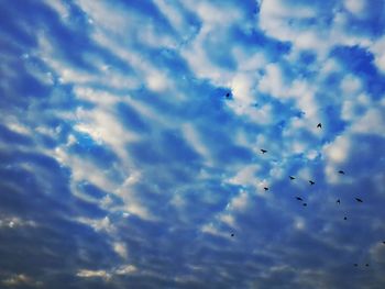 Low angle view of birds flying against cloudy sky