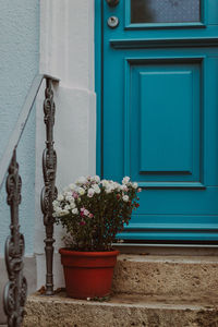 Potted plant on stairs against blue door 