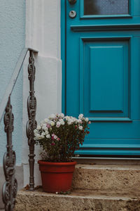 Potted plant against wall