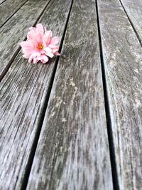 Close-up of wooden plank