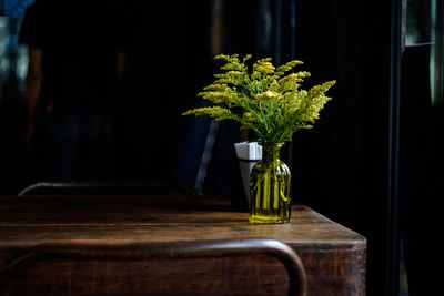 Close-up of potted plant on table