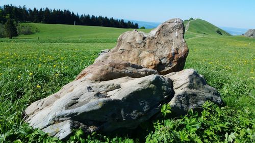 Scenic view of rocks on field against sky