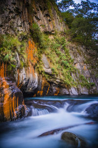 Scenic view of waterfall