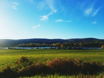 Scenic view of field against blue sky