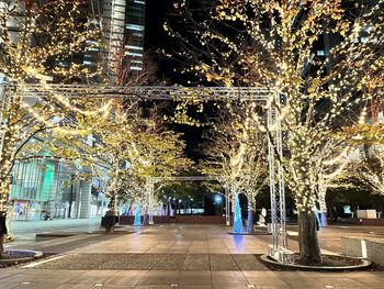 Illuminated trees in city at night