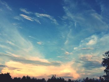 Low angle view of silhouette trees against sky