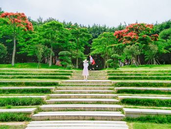 Footpath in park