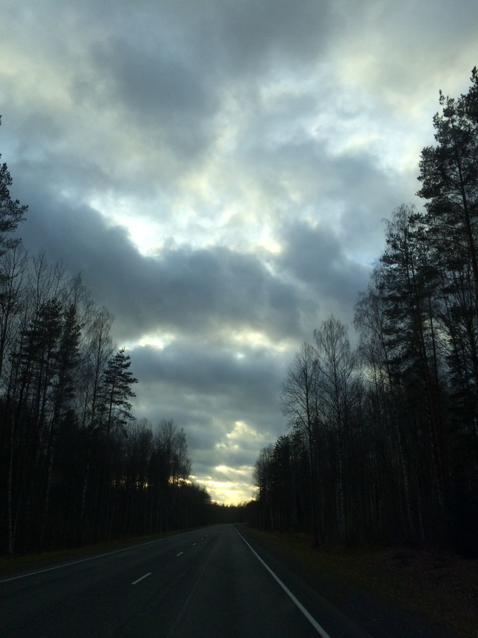 tree, sky, transportation, cloud - sky, the way forward, road, nature, cloudy, tranquility, low angle view, weather, bare tree, tranquil scene, beauty in nature, scenics, car, cloud, silhouette, diminishing perspective, no people