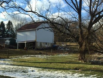 House by bare tree against sky