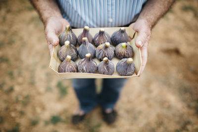 Senior man holding cardboard box of fresh figs