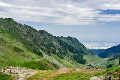 Transfagarasan through the fagaras mountains with green vegetation