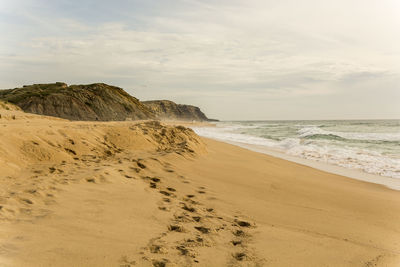 Scenic view of beach against sky