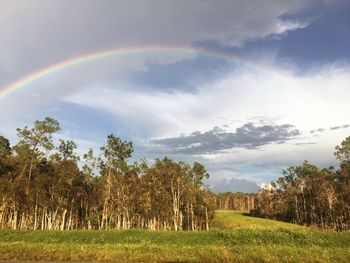 Scenic view of rainbow over field against sky