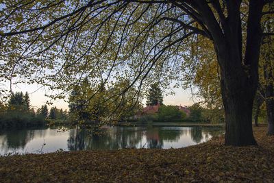 Scenic view of lake by trees against sky