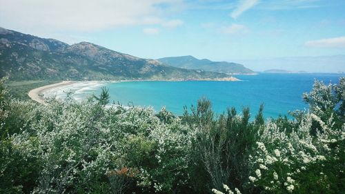 Scenic view of sea against sky