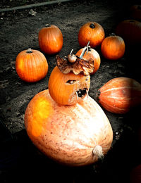 High angle view of pumpkins on land